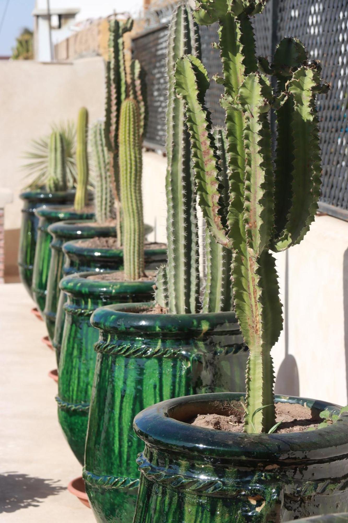 Riad Valentine Marrakesh Exterior photo